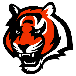 Cincinnati Bengals, AFC Champions